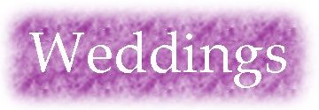 purplerewedding.jpg (12214 bytes)