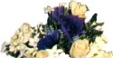 smallyellowflwrs.jpg (3515 bytes)